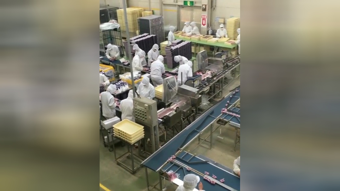 实拍日本食品工厂 洁净卫生与现代感并重，日本产品何以令人放心？