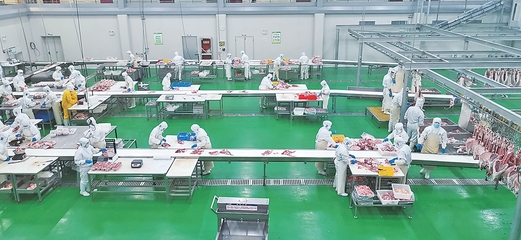 庆阳 草畜盛 产业旺 食品强